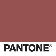 PANTONE Color of the Year 2015